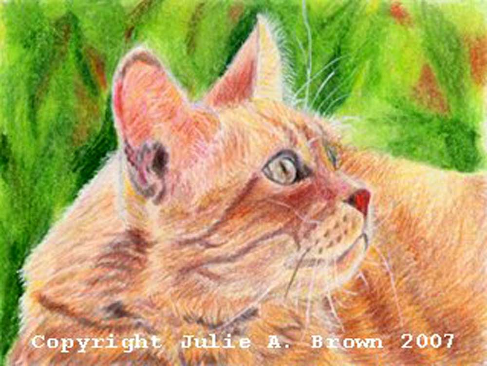 B.C. - Mixed Media Cat Portrait by Julie A. Brown