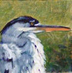 Heron 4:  The Watcher Giclee Reproduction
