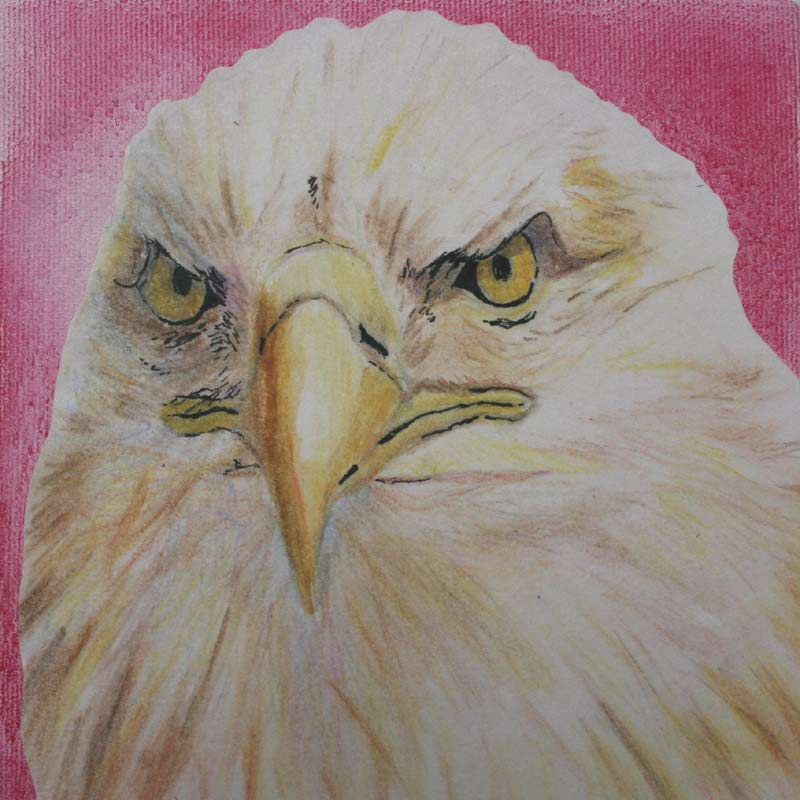 The Eagle:  Strength, acrylic painting by Julie A. Brown