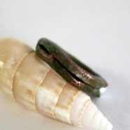 Hidden Treasure Ring - back view
