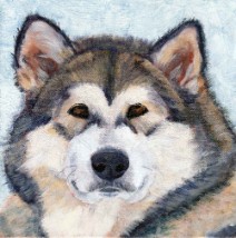 Acrylic Husky Dog Portrait by Julie A. Brown - Mikenlie A. Brown