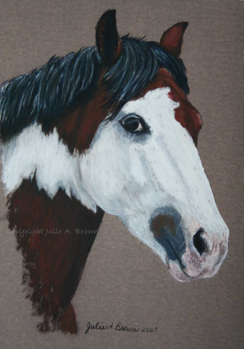 Wally - Pastel horse portrait by Julie A. Brown