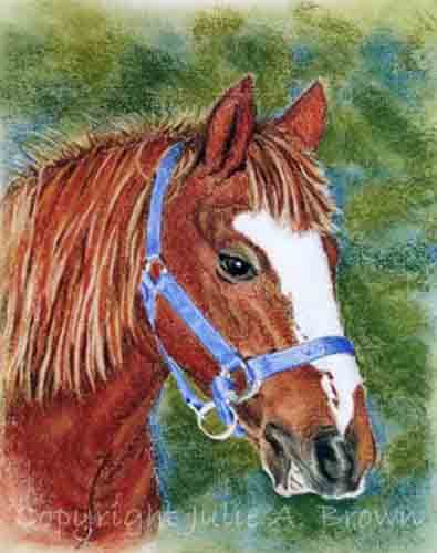 windsong - pastel horse portrait by Julie A. Brown