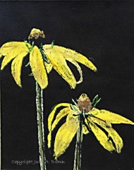 Yellow Coneflowers - Giclee eco-friendly fine art reproduction by Julie A. Brown